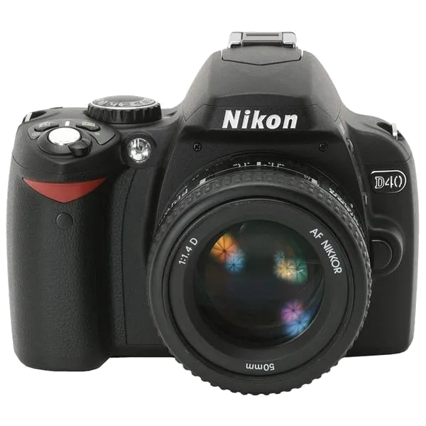 D40